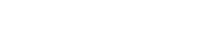 We The People
